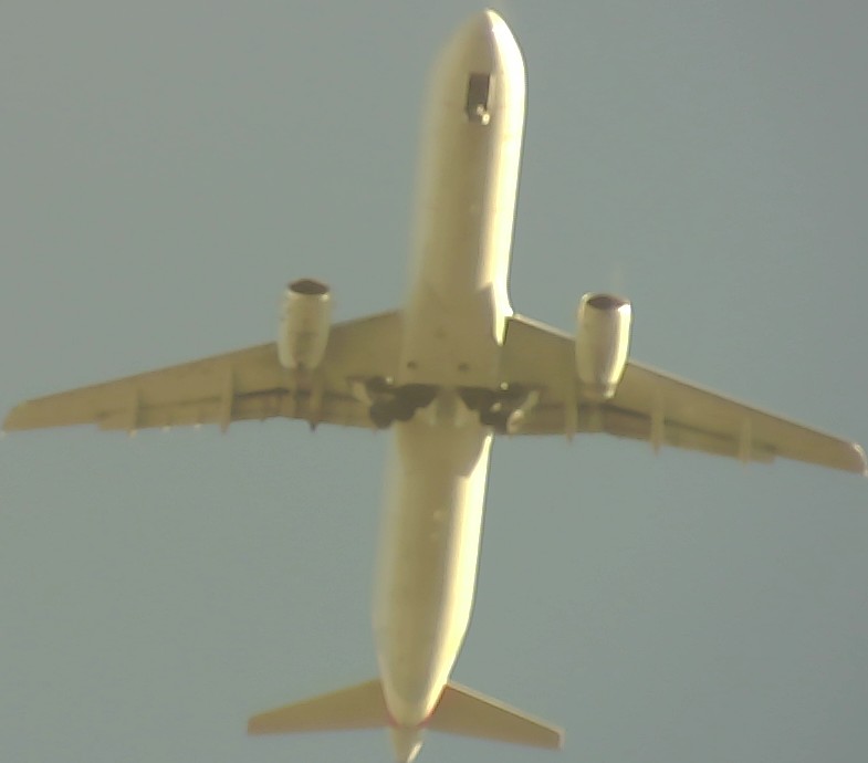 Airplane Picture