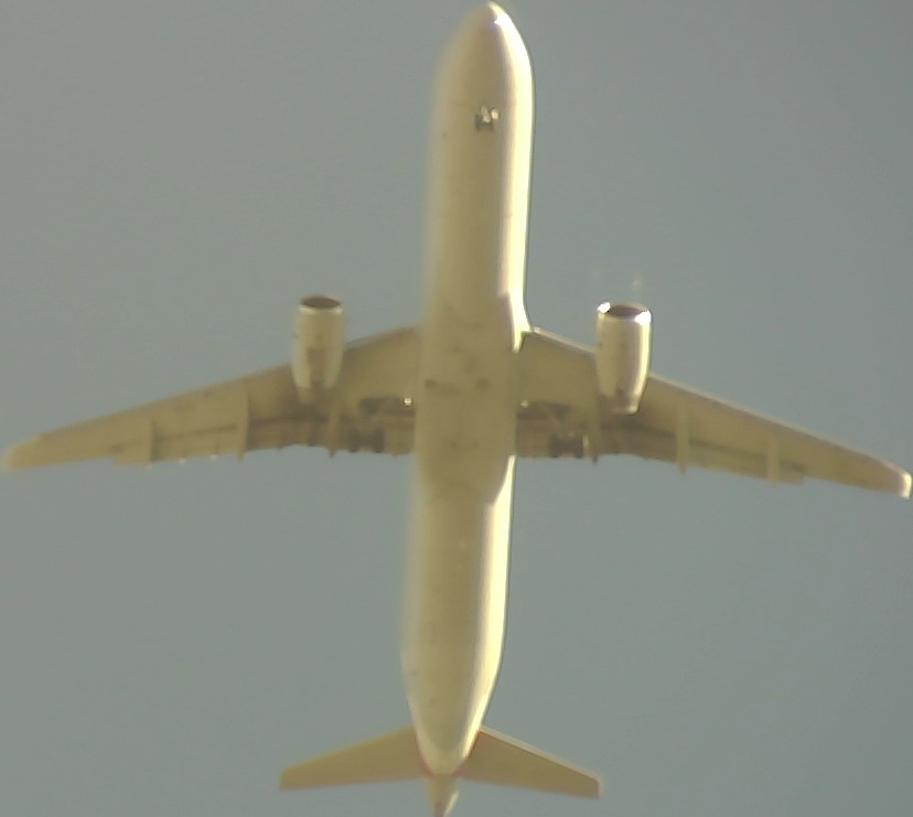 Airplane Picture
