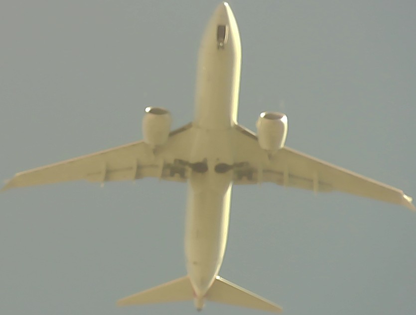 Airplane Picture