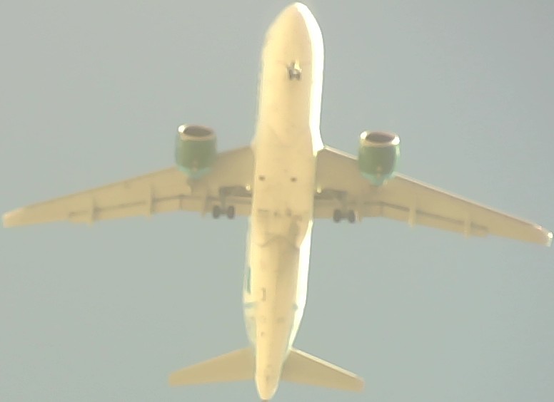 Airplane Picture