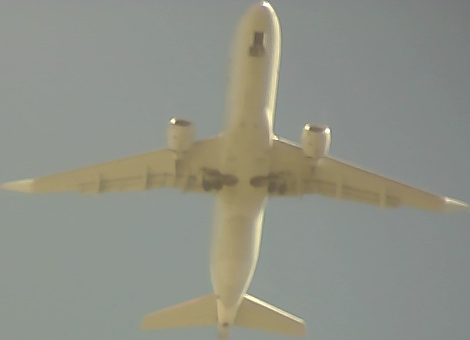 Airplane Picture