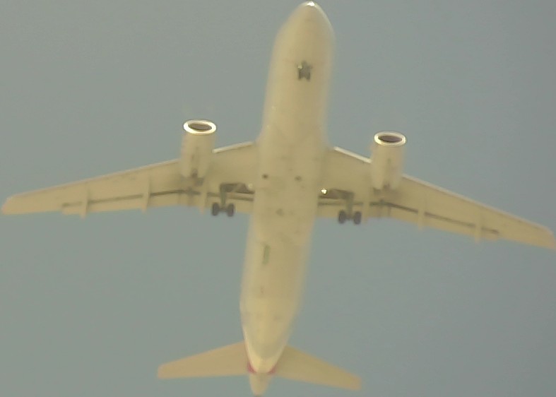 Airplane Picture