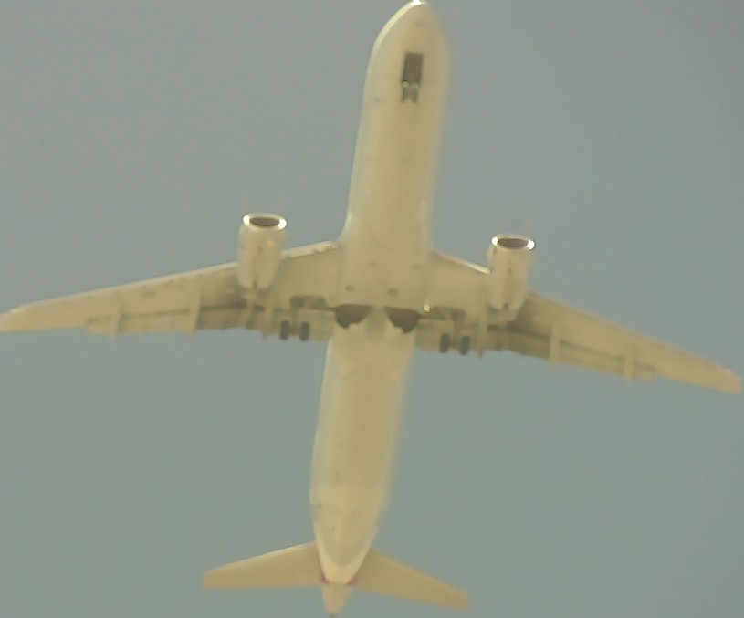 Airplane Picture
