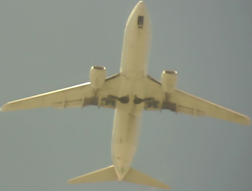 Airplane Picture