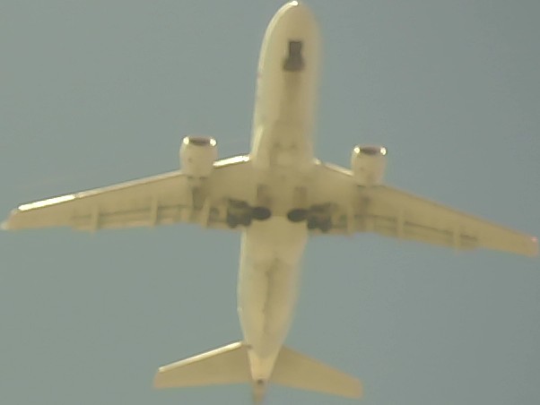 Airplane Picture