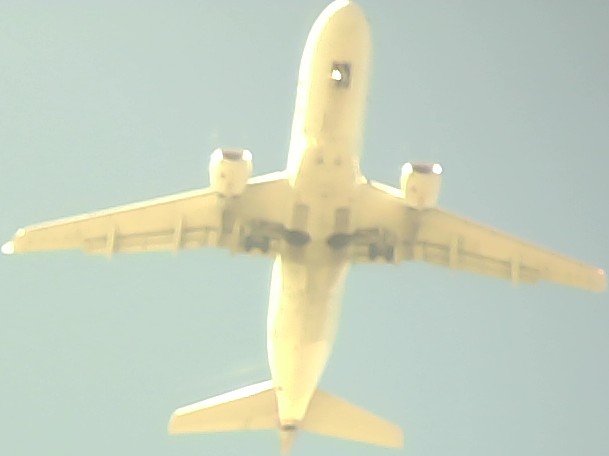 Airplane Picture
