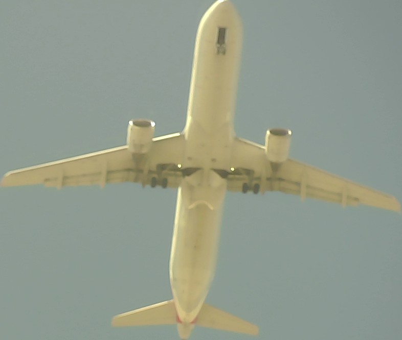 Airplane Picture