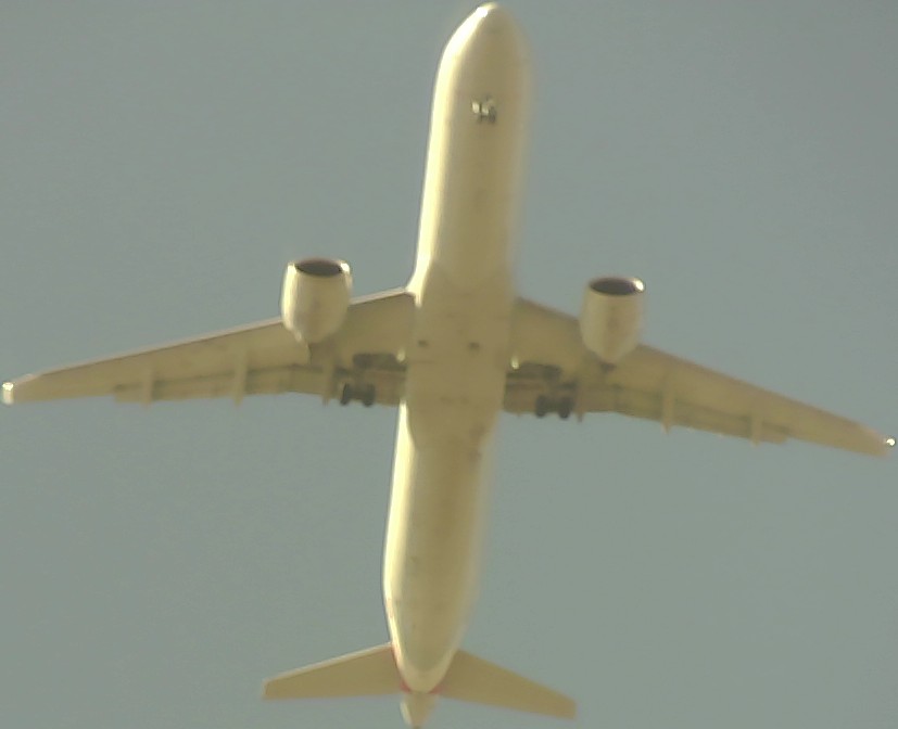 Airplane Picture