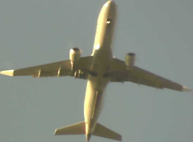 Airplane Picture