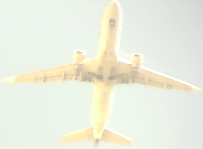 Airplane Picture