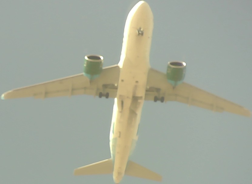 Airplane Picture