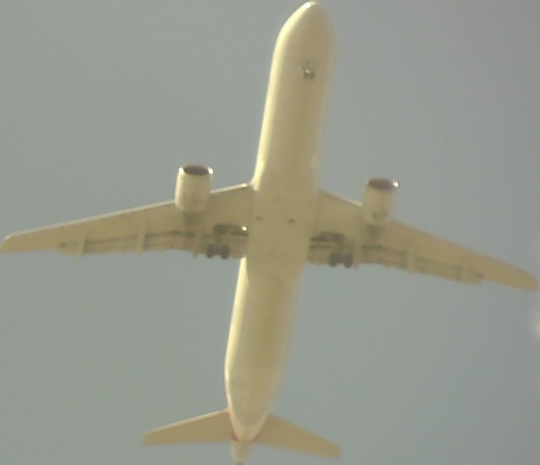 Airplane Picture