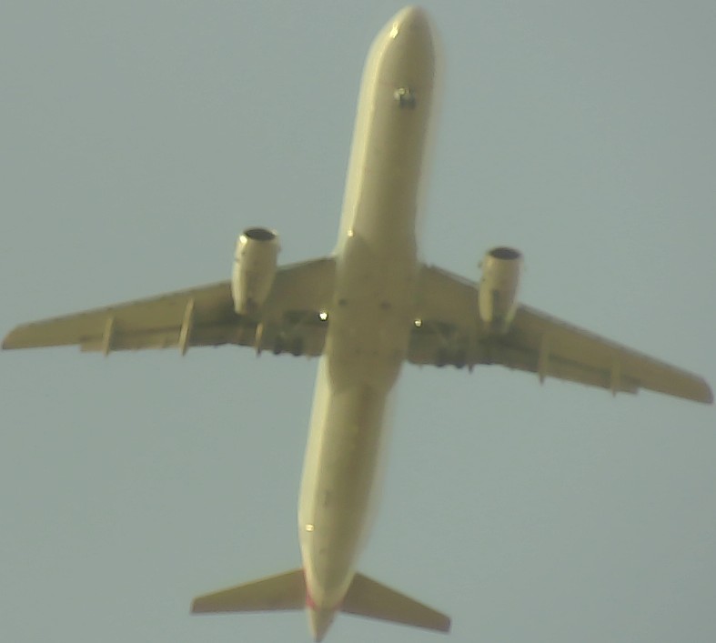 Airplane Picture