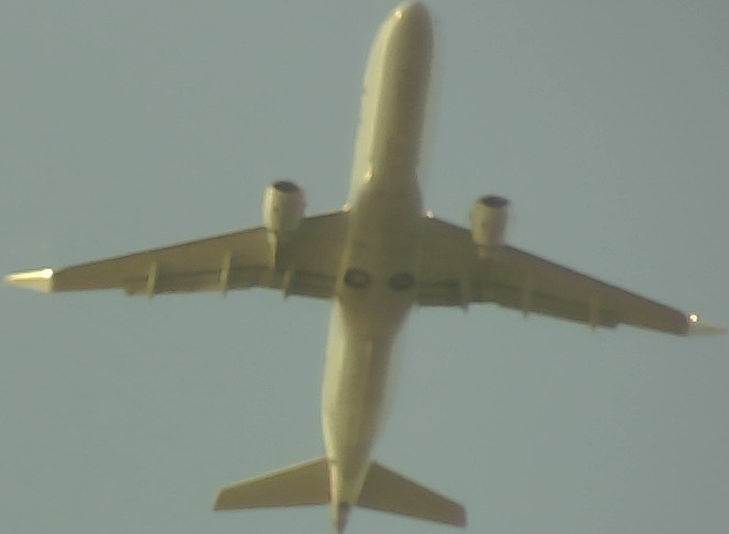 Airplane Picture