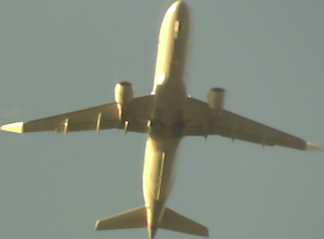 Airplane Picture