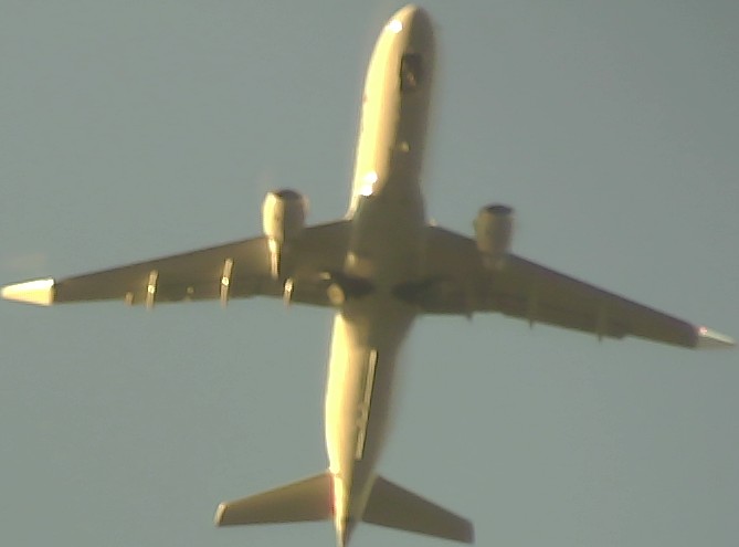 Airplane Picture