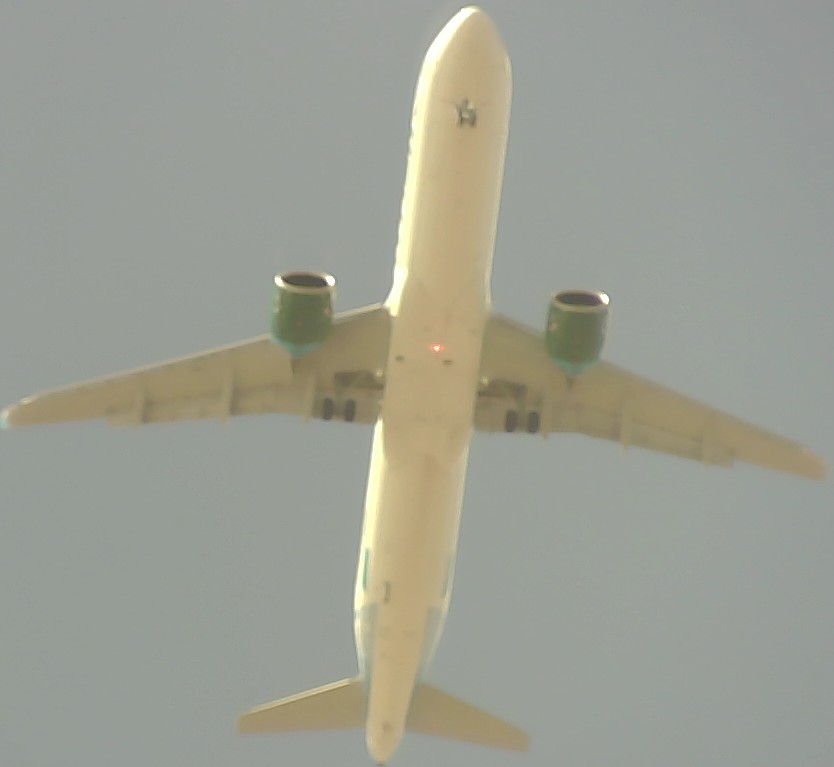 Airplane Picture