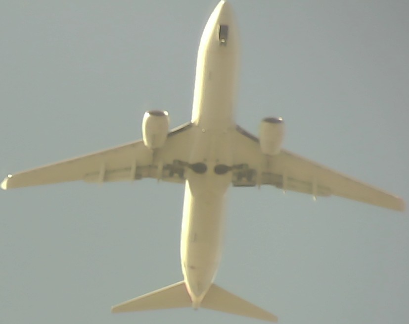 Airplane Picture