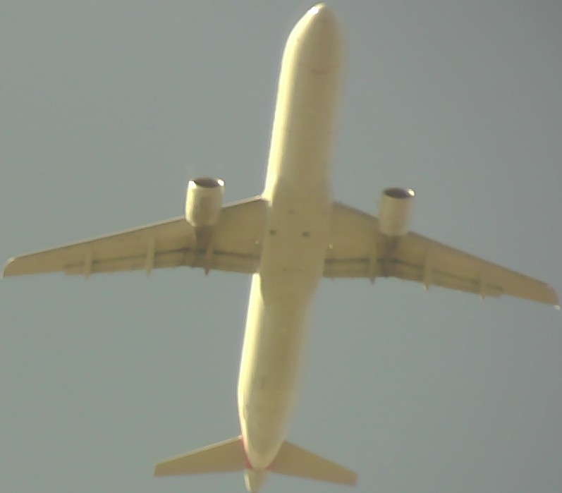 Airplane Picture