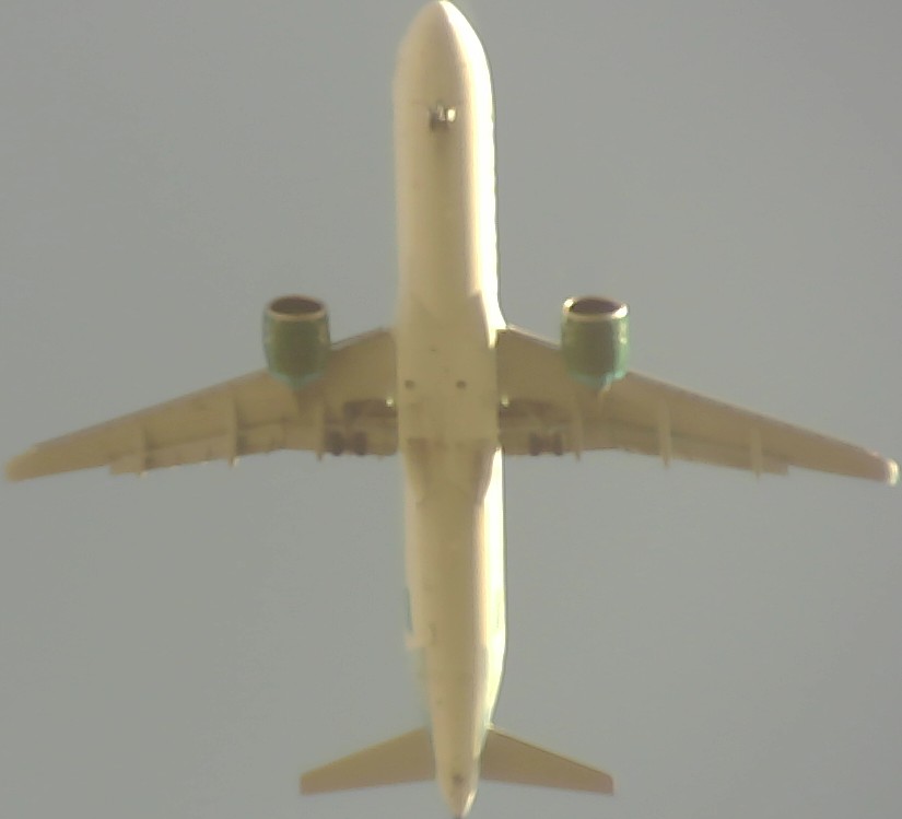 Airplane Picture