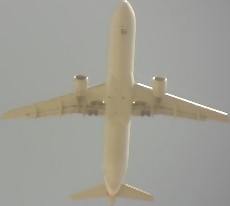 Airplane Picture