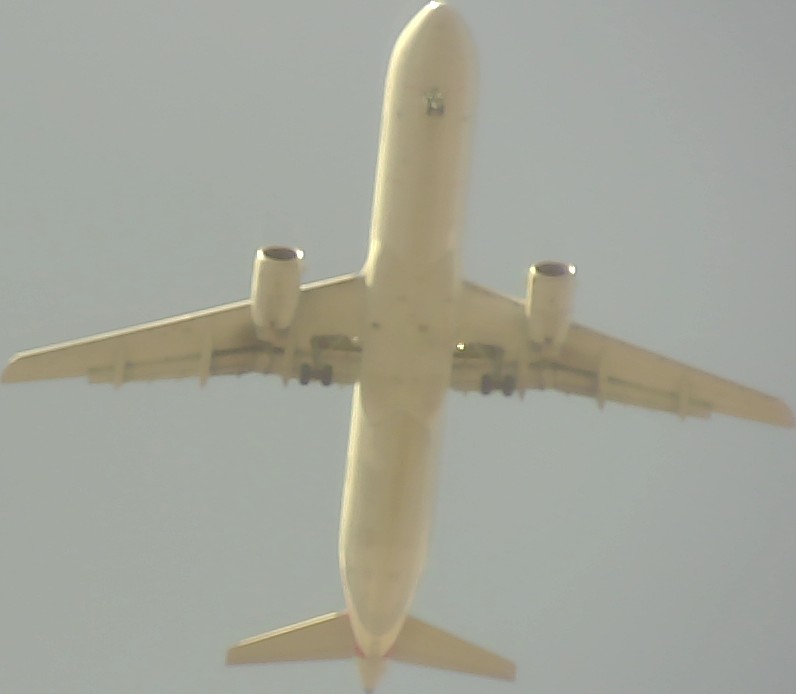 Airplane Picture
