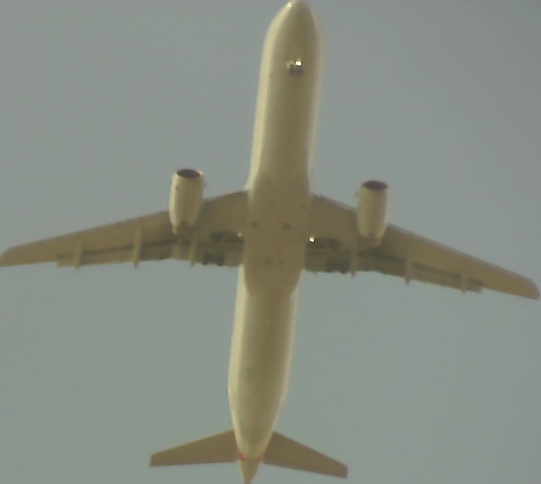 Airplane Picture