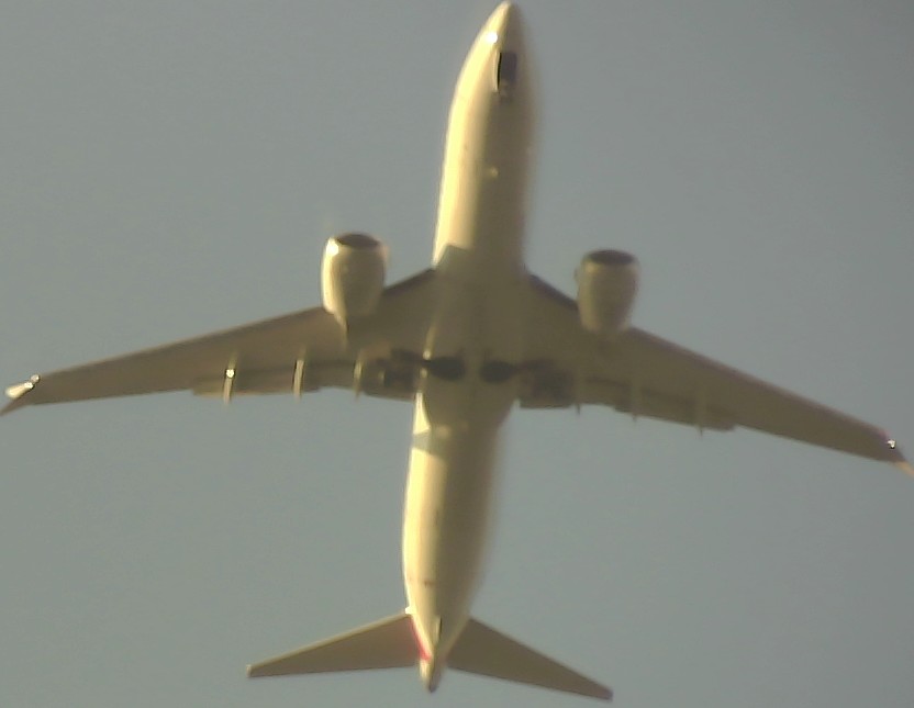 Airplane Picture