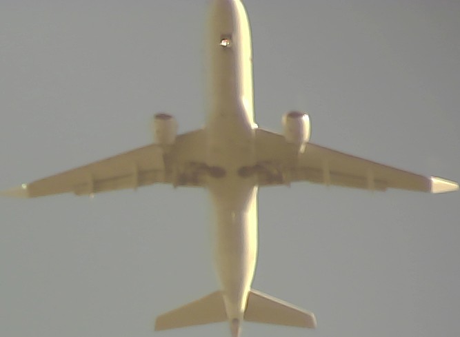 Airplane Picture