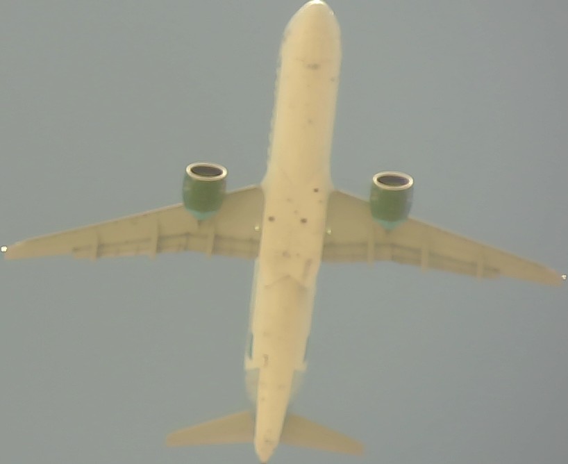 Airplane Picture