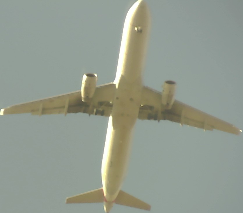 Airplane Picture