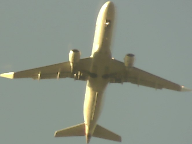 Airplane Picture