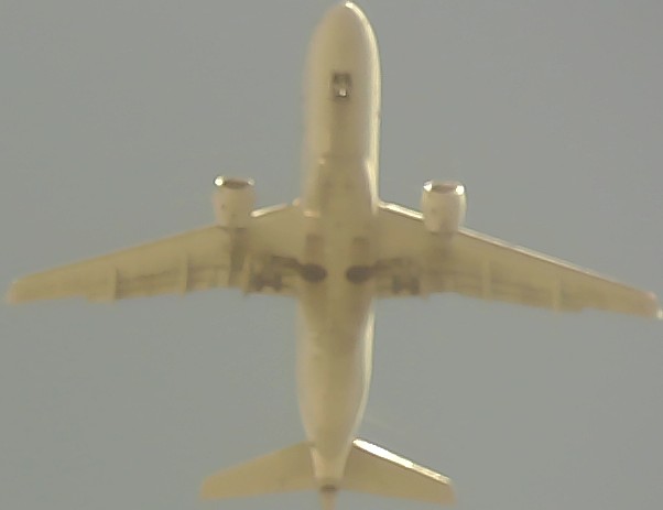 Airplane Picture