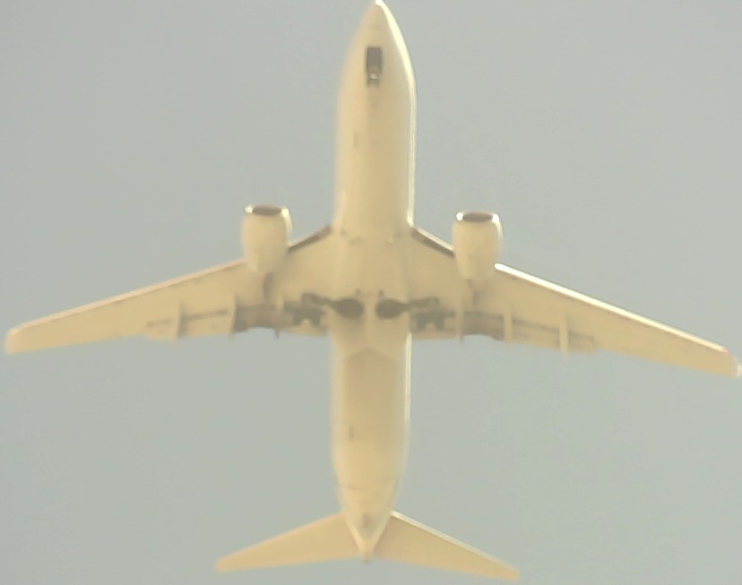 Airplane Picture