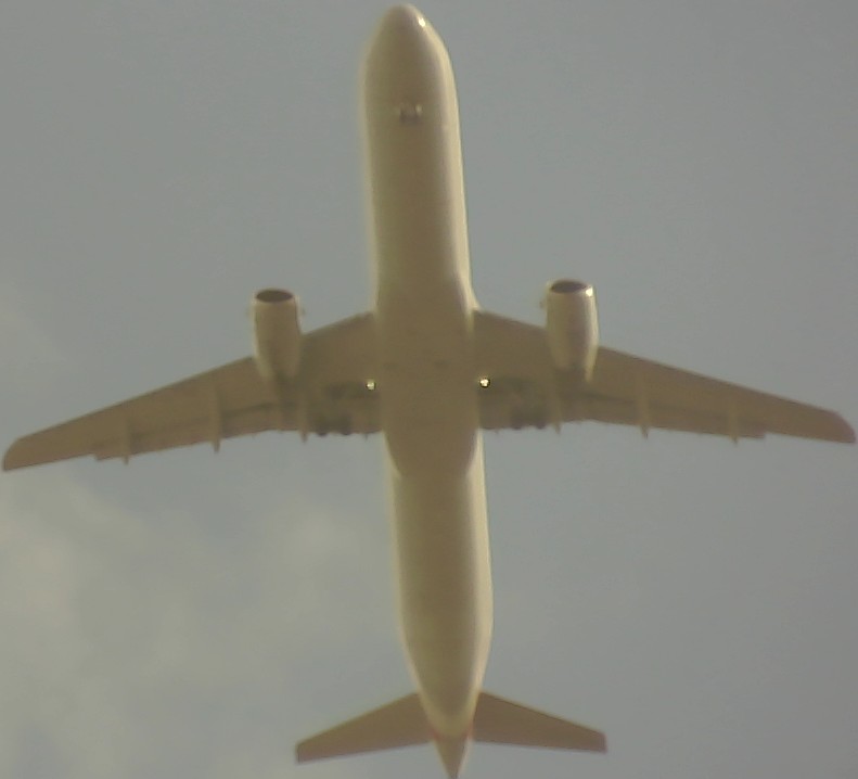 Airplane Picture