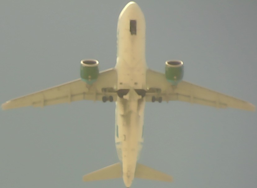Airplane Picture