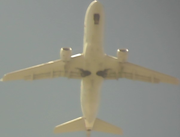 Airplane Picture