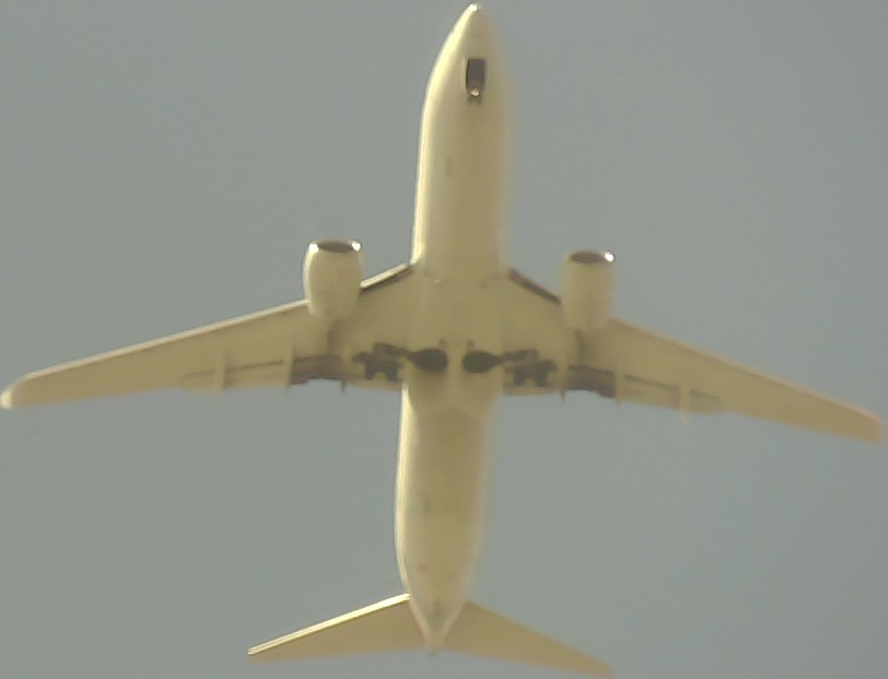 Airplane Picture