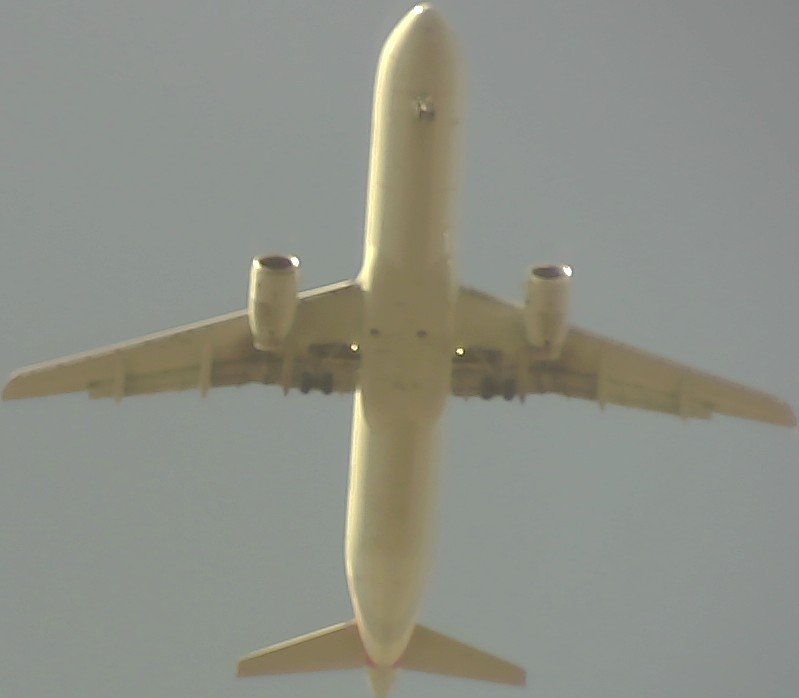 Airplane Picture