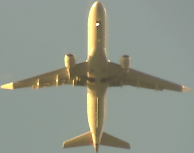 Airplane Picture