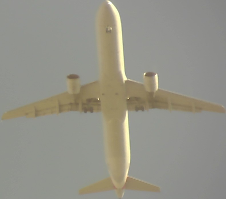 Airplane Picture
