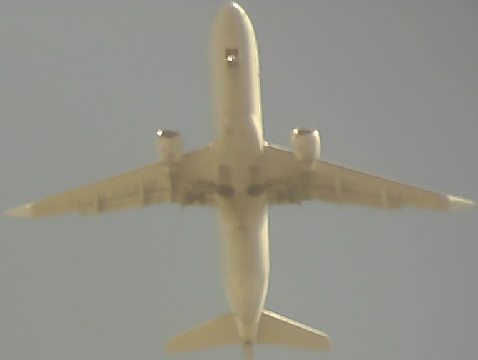 Airplane Picture