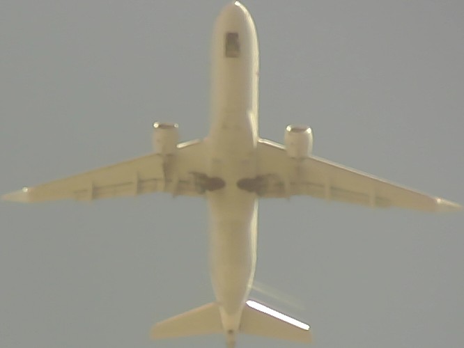 Airplane Picture