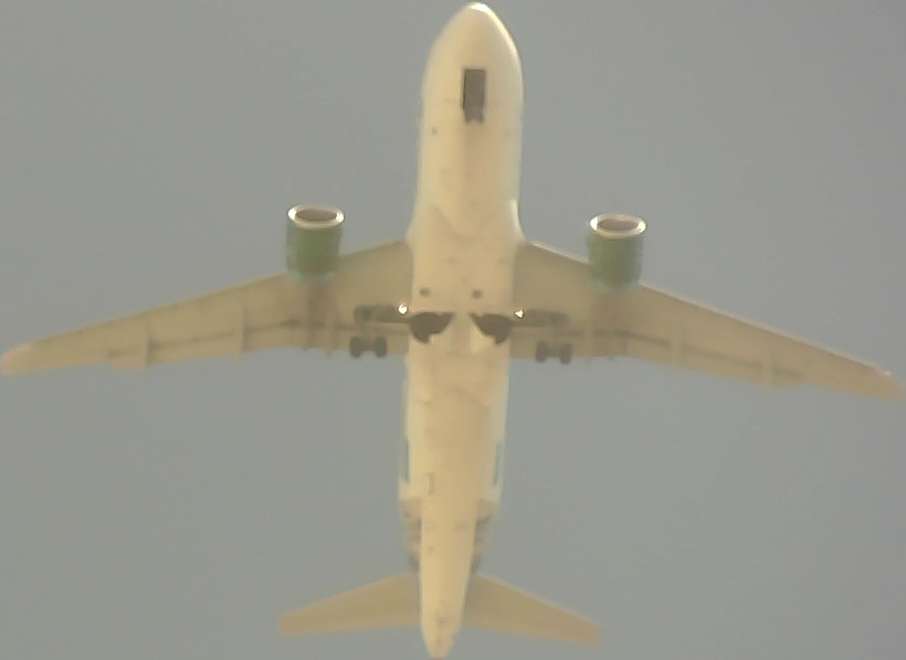 Airplane Picture