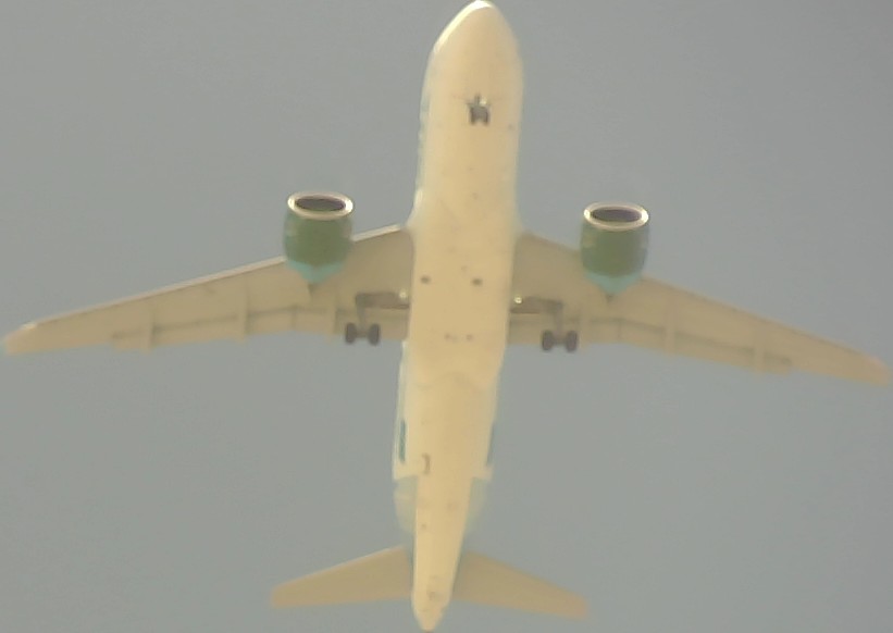 Airplane Picture