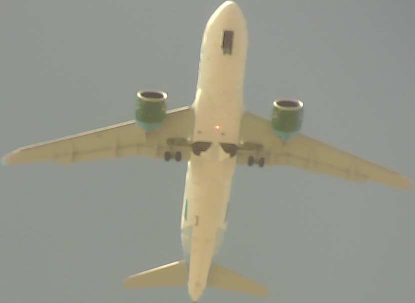 Airplane Picture