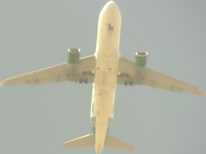 Airplane Picture