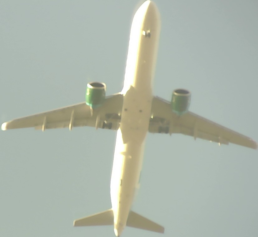 Airplane Picture