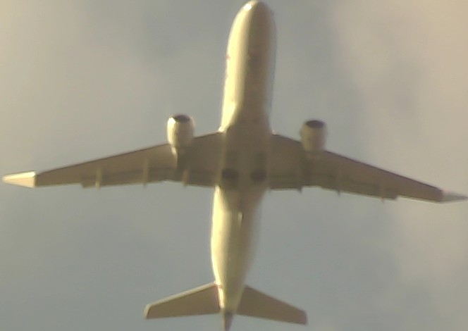 Airplane Picture