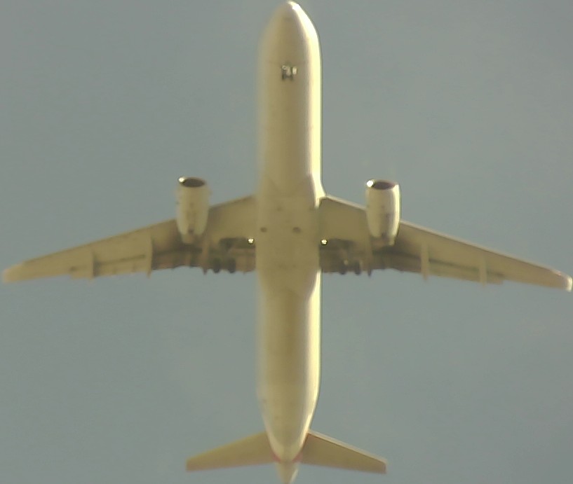 Airplane Picture